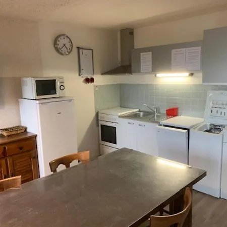 F2 Bis Confort Avec Balcon Au Pied Des Pistes, Parking Et Local A Skis, Mont-dore - Fr-1-415-100 Apartment *