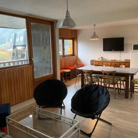 Apartment F2 Bis Confort Avec Balcon Au Pied Des Pistes, Parking Et Local A Skis, Mont-dore - Fr-1-415-100