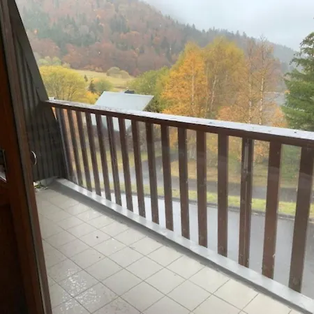 F2 Bis Confort Avec Balcon Au Pied Des Pistes, Parking Et Local A Skis, Mont-dore - Fr-1-415-100 * Le Mont-Dore