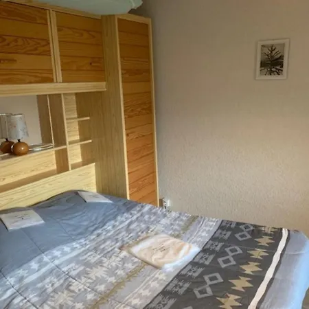 Apartment F2 Bis Confort Avec Balcon Au Pied Des Pistes, Parking Et Local A Skis, Mont-dore - Fr-1-415-100 Le Mont-Dore